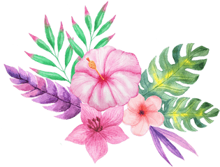 Watercolor Tropical Flower Png - Bible Verse For Godly Woman