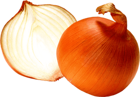 Onion Half PNG Image High Quality