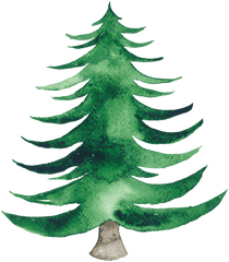 Gerahmtes Poster Pine Tree Marmont Hill - Watercolor Christmas Tree Png