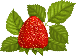 Leaves Png Clipart Picture - Strawberry Leaves Png