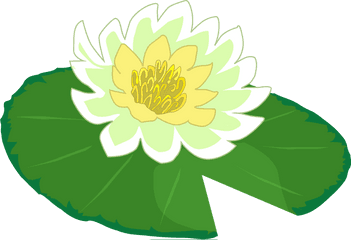 Lily Clipart Transparent Background - Lily Pad Png