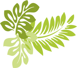 Spring Leaf Transparent Png Clip Art - Tropical Leaf Clipart