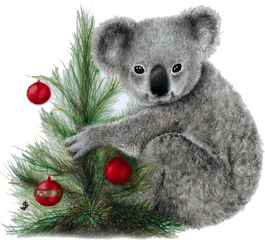 Koala Png Image Download