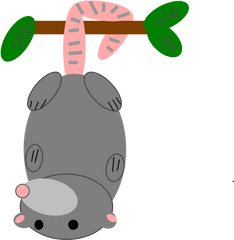 Possum Clipart - Clip Art Possum Png