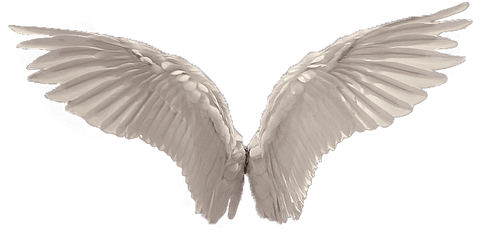 Angel Wings Png Photos - Transparent Background Angel Wings Png