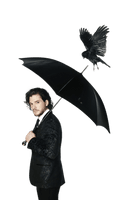 Harington Kit Free Clipart HQ - Free PNG