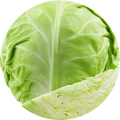 Cabbage Grierfield Farms - Big Cabbage Png