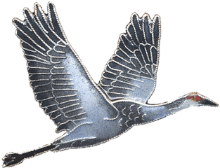 Crane Bird Png - Long