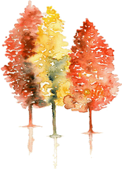 Tree Painting - Autumn Tree Watercolor Png