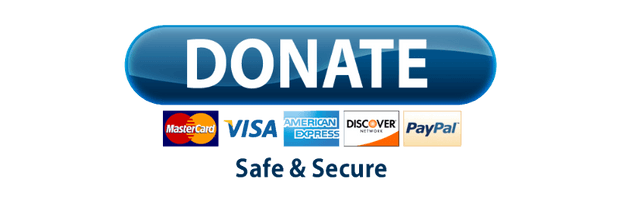 Paypal Donate Button Free Clipart HD - Free PNG