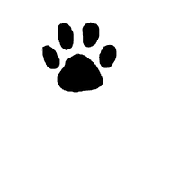 Footprint Animal PNG Image High Quality
