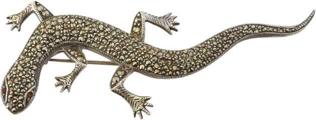 Download Lizard Png Transparent Images - Alligator Lizard