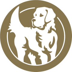 Golden Retriever Png - Golden Retriever Dog Logo