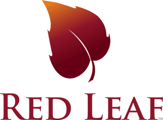 Red Leaf Logo - Red Leaf Logo Design Png