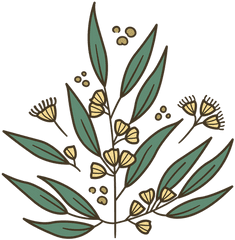 Yellow Flowers Plant Illustration - Transparent Png U0026 Svg Clip Art