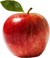 Download Fresh Apple Png Image For Free - Scientific Name Of Apple