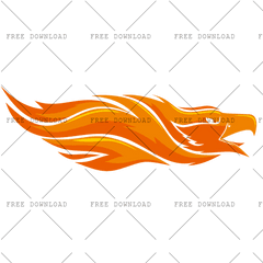 Eagle Hawk Kite Bird Png Image With Picture Transparent Background