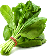 Download Spinach Png Free - Vegetable Spinach