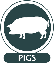 Pigs - Boar Png
