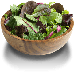 Spring Mix Romaine Lettuce What Are - Bowl Png