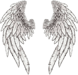 Angel Wings Png Tumblr 4 Image - Angel Wings Tattoo Designs