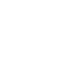 Newcastle United 1 Manchester - Newcastle Fc Png