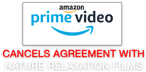 Amazon Cancels Ambient Content - Amazon Png