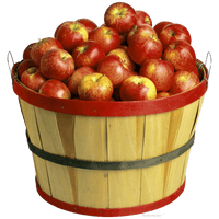 Apple Of Material Cider Apples Basket The - Free PNG