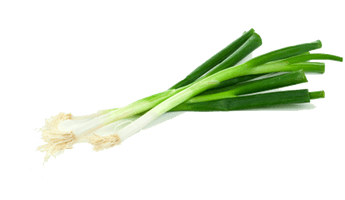 Green Onion Transparent - Free PNG