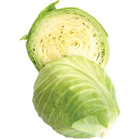 Cabbage Half PNG Download Free