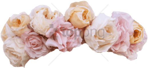 Download Pink Flower Crown Floral - Garden Roses Png