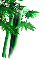 Green Bamboo Leaves Png