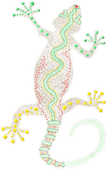 Clipart - Dot Matrix Lizard Illustration Png