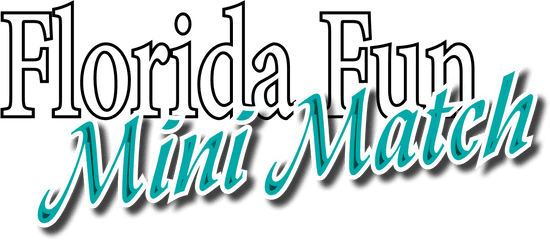 Florida Fun Mini Match - Dance Dance Dance Horizontal Png