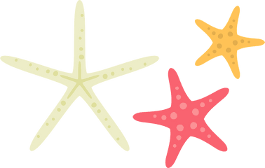 Starfish Sea Stars Clipart - Starfish Png