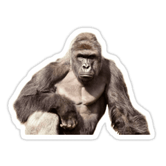 Harambe Sticker Transparent Png - Harambe Png