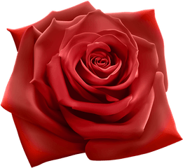 Red Rose Png Clipart Image Clip Art - Beautiful Pink Rose Png