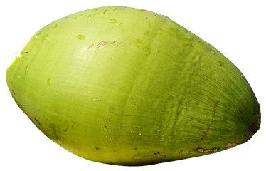 Green Coconut Png Image - Green Coconut Png