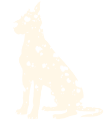 Download Dalmatian - Great Dane Png