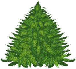 Fir Tree Png Image For Free Download - Fir Tree