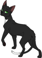 Warrior Cats Thunderclan Medicine Characters Tv Tropes - Warrior Cats Ravenpaw Png
