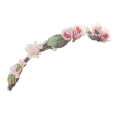 Transparent Flower Crowns Picture Png 42585 - Free Icons Flower Crown Transparent