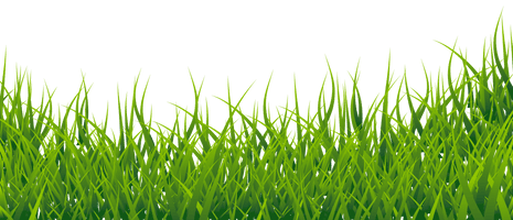 Vector Grass Green HD Image Free - Free PNG