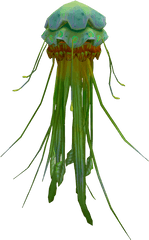 Download Jellyfish Png Image With No Background - Pngkeycom Green Jellyfish