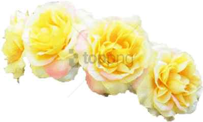 Free Png Tumblr Transparent Flower Crown Image - Transparent Background Yellow Flower Crown Transparent