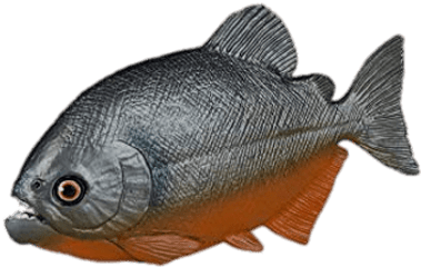 Piranha Figurine Transparent Png - Piranha Toy