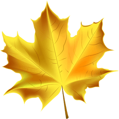 Yellow Fall Leaf Clipart - Transparent Background Leaf Clipart Png