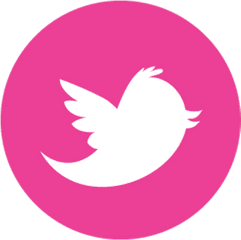 Download Hd Twitter Logo Png Pink - Transparent Pink Twitter Logo Png