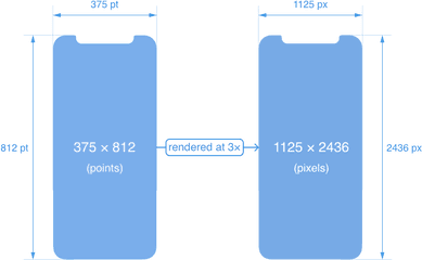 Designing For Iphone X Screen Size By Siddarth - Iphone X Height And Width Png