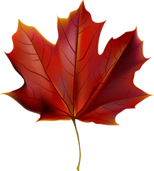 Maple Leaf High Resolution Clipart Png Japanese